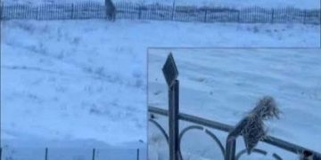 Буга сүлбэгдэж үрэгдсэн тухайн хашааны эзэн хуулийн этгээдийг 24 саяар торгож, газар эзэмшлийн зөвшөөрлийг цуцлав