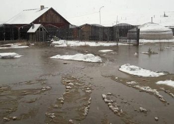 Б.Бямбасайхан: 2023 онд Дарь эхэд болсон үертэй ижил нөхцөл байдал Сонгинохайрхан дүүрэгт дахин үүсэхийг үгүйсгэхгүй