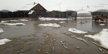 Б.Бямбасайхан: 2023 онд Дарь эхэд болсон үертэй ижил нөхцөл байдал Сонгинохайрхан дүүрэгт дахин үүсэхийг үгүйсгэхгүй