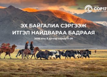 СОР17: Бэлчээрээ аврах боломж буюу өгөөжийг нь малчид ч хүртэнэ