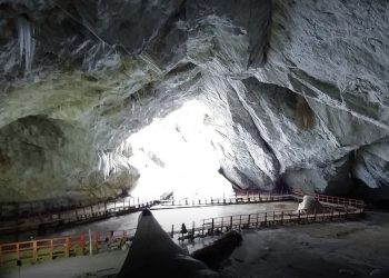 Олон мянган жилийн турш мөсөнд хадгалагдаж байсан нянгийн омгийг илрүүлжээ