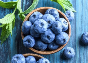 Судалгаагаар зэрлэг нэрс жимс нь зүрх, бодисын солилцоонд эерэг нөлөө үзүүлдэг болох нь тогтоогдлоо