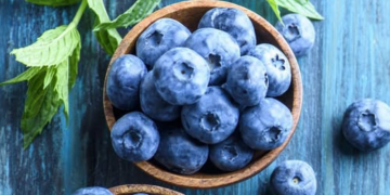 Судалгаагаар зэрлэг нэрс жимс нь зүрх, бодисын солилцоонд эерэг нөлөө үзүүлдэг болох нь тогтоогдлоо