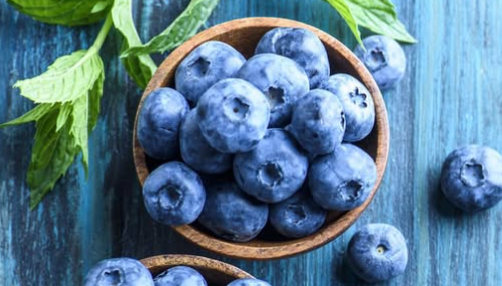 Судалгаагаар зэрлэг нэрс жимс нь зүрх, бодисын солилцоонд эерэг нөлөө үзүүлдэг болох нь тогтоогдлоо