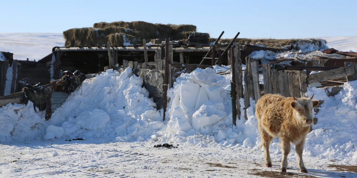 Цасан шуурганд өртөж, амь эрсэдсэн иргэдийн ар гэрт очиж эмгэнэл ирэлхийлжээ