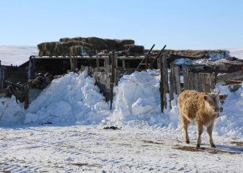 Цасан шуурганд өртөж, амь эрсэдсэн иргэдийн ар гэрт очиж эмгэнэл ирэлхийлжээ