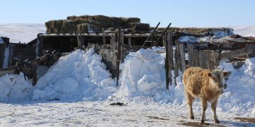 Цасан шуурганд өртөж, амь эрсэдсэн иргэдийн ар гэрт очиж эмгэнэл ирэлхийлжээ