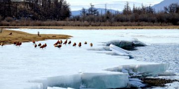 Энэ хавар нийт нутгаар олон жилийн дунджаас дулаан байна