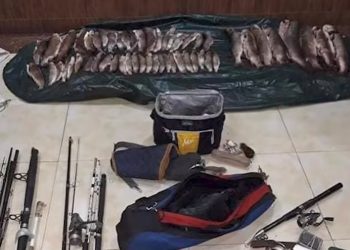 Ховор амьтны жагсаалтад бүртгэлтэй тул загас барьсан гурван этгээдийг илрүүлж, 67.2 сая төгрөгийн торгууль ноогдуулж, төлүүлжээ