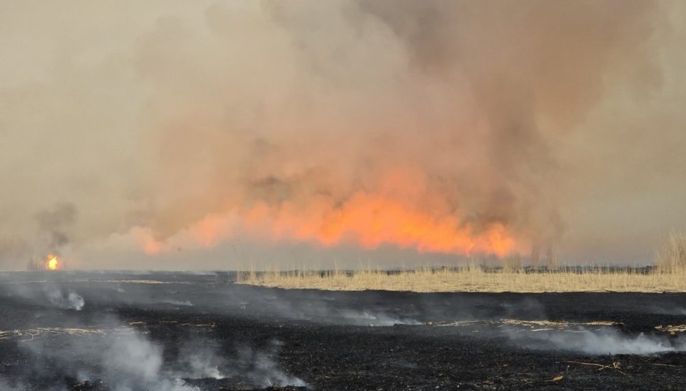 Сэлэнгэ, Ховд, Сүхбаатар аймагт гарсан ой хээрийн түймрийг унтраахаар ажиллаж байна