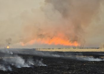 Сэлэнгэ, Ховд, Сүхбаатар аймагт гарсан ой хээрийн түймрийг унтраахаар ажиллаж байна