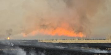Сэлэнгэ, Ховд, Сүхбаатар аймагт гарсан ой хээрийн түймрийг унтраахаар ажиллаж байна