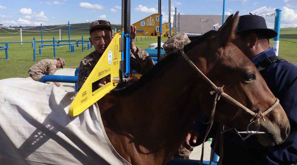 Наадмаар уралдах хурдан морины сэрвээний өндрийг өөрчиллөө