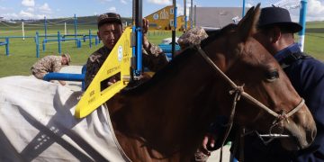 Наадмаар уралдах хурдан морины сэрвээний өндрийг өөрчиллөө