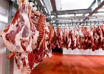 Монгол Улс Ойрх Дорнод руу 60 сая ам.долларын мах экcпортолдог