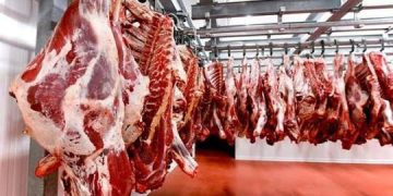 Монгол Улс Ойрх Дорнод руу 60 сая ам.долларын мах экcпортолдог