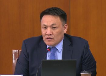 Н.Номтойбаяр: COP17-ийн санхүүжилтэд аудит зайлшгүй хийх шаардлагатай