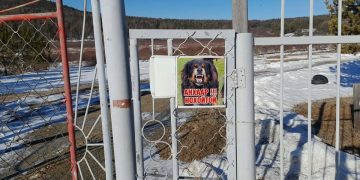 Д.Баярхүү: Ярдаг нохойгоор айлгасан үйлчилгээ