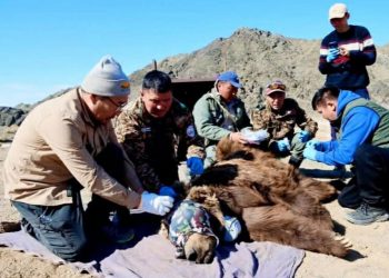 Мазаалайд сансрын дохиолол бүхий хүзүүвч зүүлээ