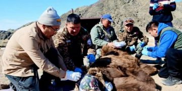 Мазаалайд сансрын дохиолол бүхий хүзүүвч зүүлээ