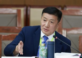 Ардчилсан намын ЕНБД-ын үүрэг гүйцэтгэгчээр С.Баярцогтыг томилов