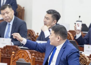 Л.Оюун-Эрдэнэ: Ерөнхийлөгчийн өргөн барьсан хуулийг баталбал парламент чив чимээгүй болно