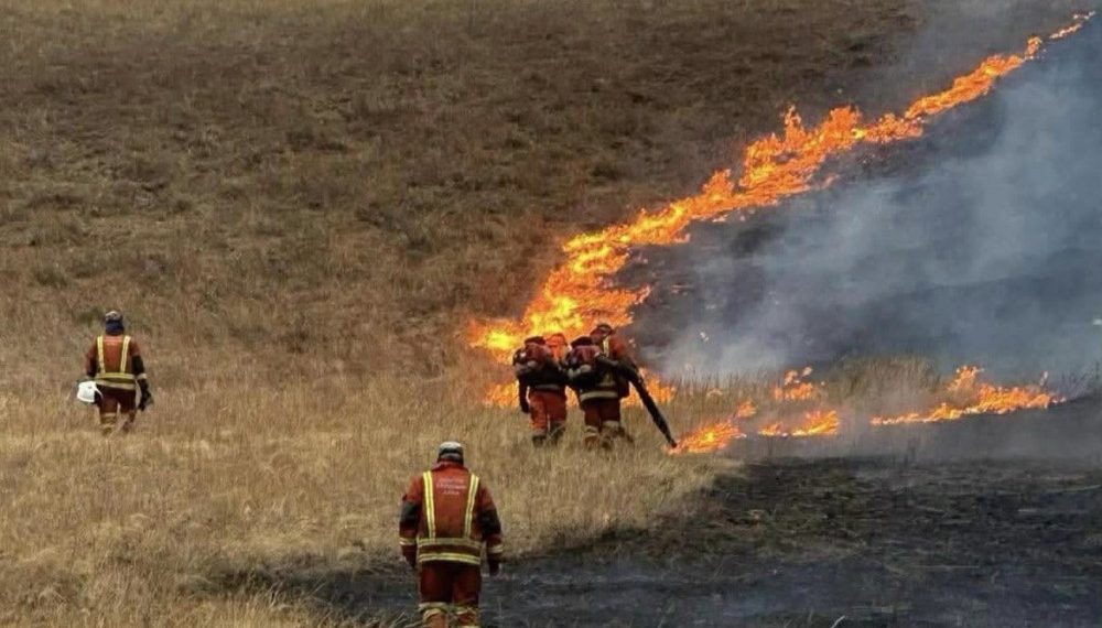 Дорнод, Сүхбаатар аймагт гарсан түймрийн гурвыг нь бүрэн унтрааж, нэгийг нь цурамд орууллаа