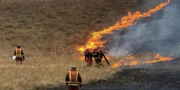 Дорнод, Сүхбаатар аймагт гарсан түймрийн гурвыг нь бүрэн унтрааж, нэгийг нь цурамд орууллаа