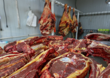 Махны үнэ таван сарын хугацаанд 52 хувиар өссөнийг хэрхэн шийдэх талаар салбарын сайдаас асуусан ч хариулт авч чадсангүй