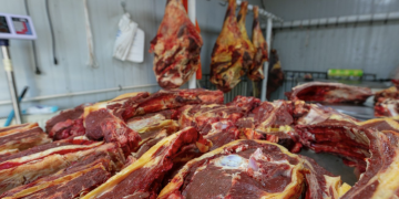 Махны үнэ таван сарын хугацаанд 52 хувиар өссөнийг хэрхэн шийдэх талаар салбарын сайдаас асуусан ч хариулт авч чадсангүй