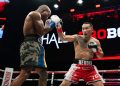 Гавьяат тамирчин Э.Цэндбаатар WBC холбооны мөнгөн бүсийн эзэн боллоо