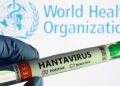 ДЭМБ: Хантавирусийн халдварын тохиолдол нэмэгдэж магадгүй