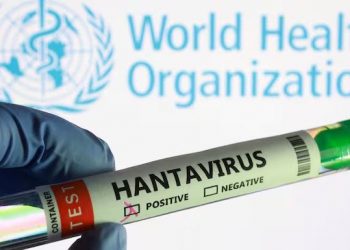 ДЭМБ: Хантавирусийн халдварын тохиолдол нэмэгдэж магадгүй