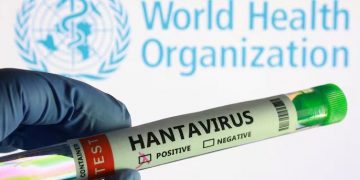ДЭМБ: Хантавирусийн халдварын тохиолдол нэмэгдэж магадгүй