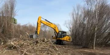 Туулын хурдны замын трасст өртсөн улиас, бургасан ойг тайрах ажлыг хийсэн компанид 352 сая төгрөгийн шийтгэл ногдуулжээ