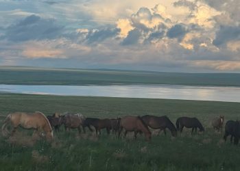 Бямба гарагт 32 хэм, ням гарагт 34 хэм хүрч хална