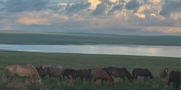 Бямба гарагт 32 хэм, ням гарагт 34 хэм хүрч хална