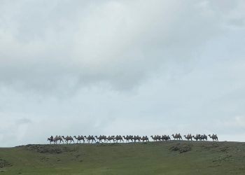 Наадмын амралтаар шүлхий өвчний голомттой бүс нутгаар зорчихгүй байхыг АНХААРУУЛАВ