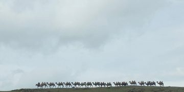 Наадмын амралтаар шүлхий өвчний голомттой бүс нутгаар зорчихгүй байхыг АНХААРУУЛАВ