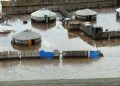 Э.Батбаяр: Үүрээр орсон орсон борооны улмаас үер устай холбоотой 25 дуудлага мэдээлэл бүртгэгдсэн