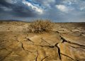 COP17: Монгол орны нутаг дэвсгэрийн 81.9 хувь нь цөлжилт, газрын доройтолд өртжээ