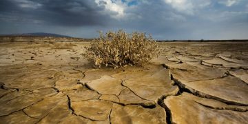 COP17: Монгол орны нутаг дэвсгэрийн 81.9 хувь нь цөлжилт, газрын доройтолд өртжээ