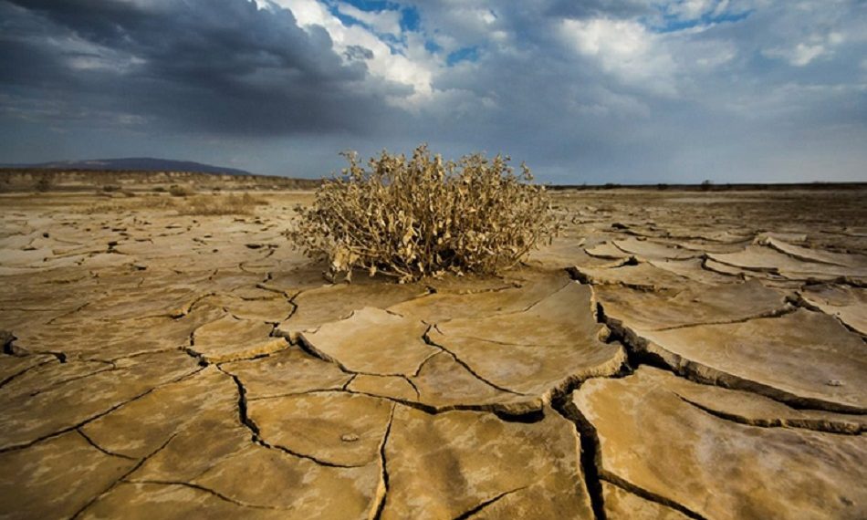 COP17: Монгол орны нутаг дэвсгэрийн 81.9 хувь нь цөлжилт, газрын доройтолд өртжээ