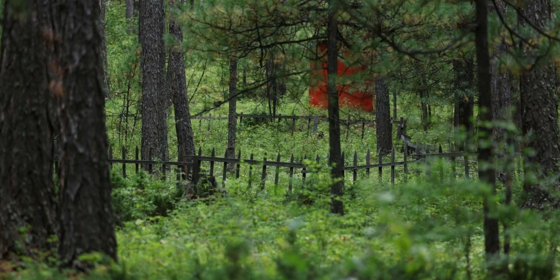 Нийслэлийн ногоон бүсэд нийтийн орц, гарц, ойн зурвас хаасан 407 нэгж талбарын газрын зөвшөөрлийг цуцаллаа