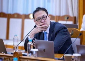 Э.Батшугар: Эмнэлгийн зогсоолын эхний 2 цаг ҮНЭ ТӨЛБӨРГҮЙ боллоо