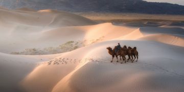 Монголын говийг Дэлхийн өвд бүртгүүлэхээр шинжээчид ажиллаж байна