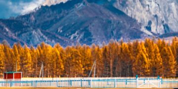 Энэ сарын 15, 16-нд нутгийн баруун хагаст, 17-нд нутгийн зүүн хагаст цасаар шуурч, ихэнх нутгаар хүйтэрнэ