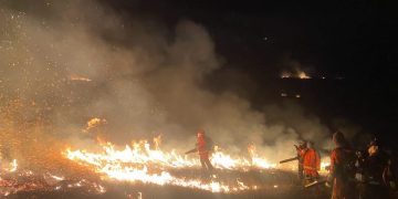 Улсын хэмжээнд 5 хээрийн түймрийг унтраахаар ажиллаж байна